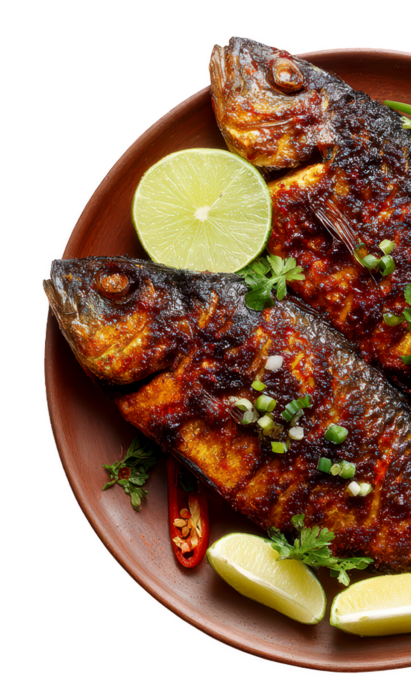 Delicious Fish Food