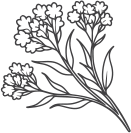 Flower Graphic 1