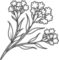 Flower Graphic 2