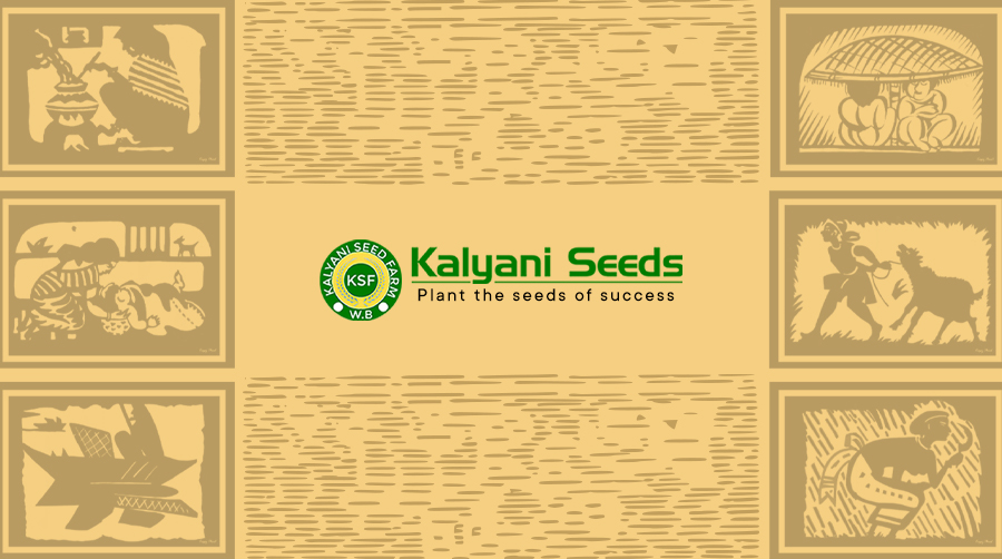 Kalyani Seeds Full Header Banner