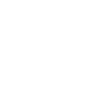 Brandwind - Creative Agency logo